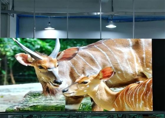 P1.923 Full Color LED-scherm voor binnen SMD1515 Wandmontage Ultra High Definition