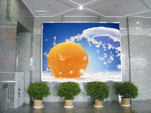 Indoor Outdoor 5mm Pixel Pitch Full Color LED Display Panel 32x32 Punten