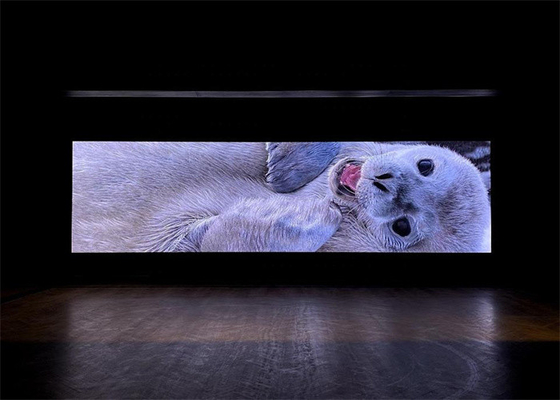 Waterdicht en stabiel LED-display met 1500 cd/m2 helderheid en 120° kijkhoek voor optimale weergave