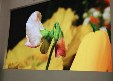P2.2 SMD2121 High Definition LED Monitor, High Resolution LED Scherm 512mm X512mm