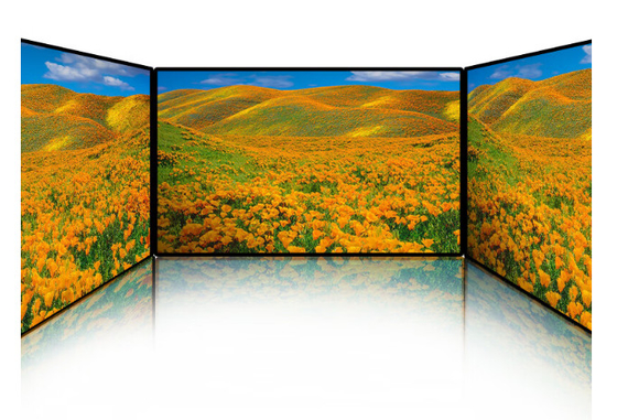 P6.67 LED Billboard Full Color DC 5V 6500cd/M2 Hoge helderheid 2 jaar garantie