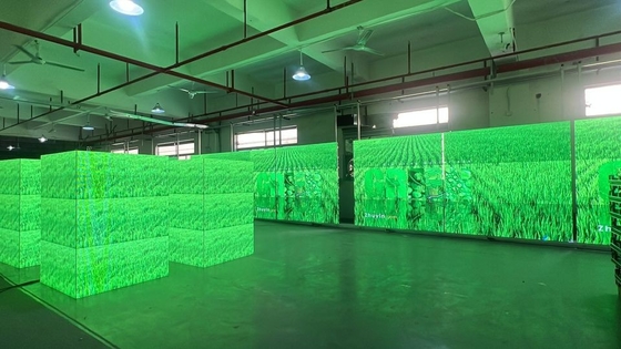 Custom Indoor Large LED Die-Cast Aluminium Screen P6 voor Rate Display/Concert, High Definition