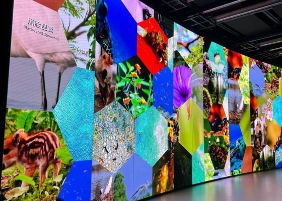 Witbalans Helderheid ≥7500cd/m2 Vaste LED-display met modulegrootte 192*192mm en Mtbf van 5000 uur