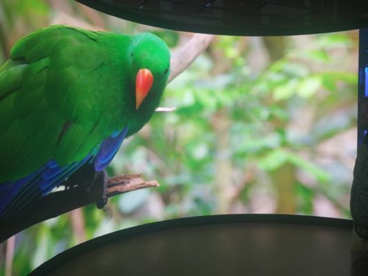 Aluminium Kast P5 Vast Led Display voor Aanpasbare Achterkant Service Onderhoud