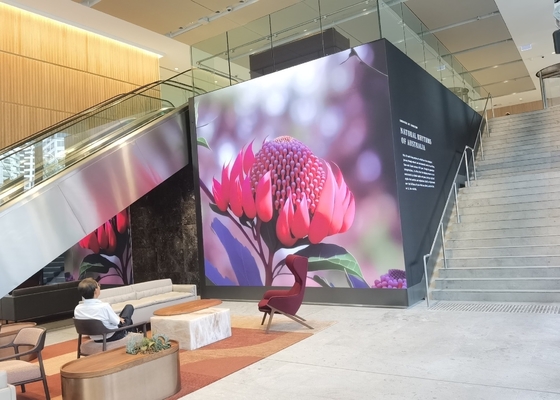 Indoor Huur Screen Small Pitch Ultra-Clear P1.923LED Video Display, Hotel/Bank/Conference Room