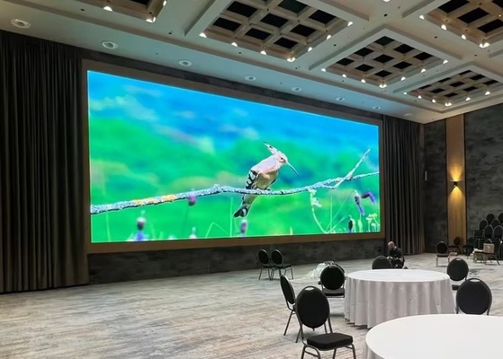 384mm x 192mm Module Grootte P6 Indoor Full Color LED Video Wall met Super Thin Cabinet en 2500nits Helderheid
