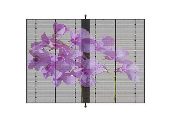 Goede prijs AC100-240V 60Hz Input Transparent LED Display Screen voor indoor reclame video display functie 3-5 jaar garantie online