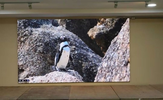 HD die-cast aluminium scherm aanpasbaar module LED display HD waterdicht doos 320 * 160mm IP65 NOVA systeem