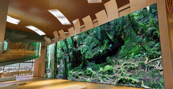 P3 Full Color LED Display met 64*64 module resolutie en 0,36 kg module gewicht voor High Definition Viewing