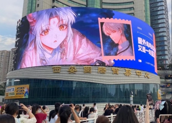 Verhuur/Fixed Screen Die-Cast Aluminium Cabinet Full Color LED Display Board 500*1000MM P5.95 3 jaar garantie