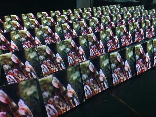 Goede prijs Van het openluchthuur LEIDENE het Schermvertonings Waterdichte Stadium Muur Als achtergrond 6500K-9500K online