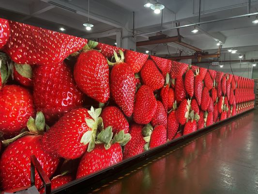 Naadloos P5 Indoor Full Color LED Display High Definition SMD 3-in-1 lichtgewicht
