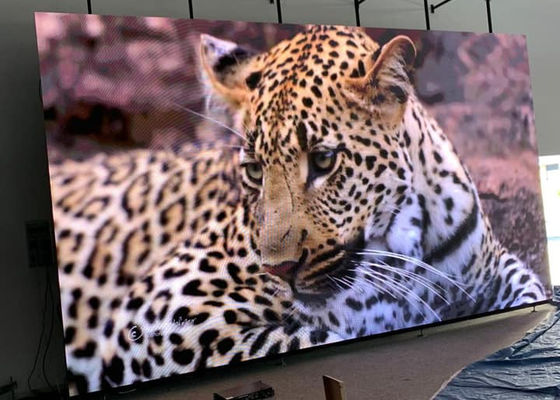 Goede prijs P4 Indoor Full Color LED Video Wandpaneel 4mm Pixel Pitch IP34 Waterdicht online