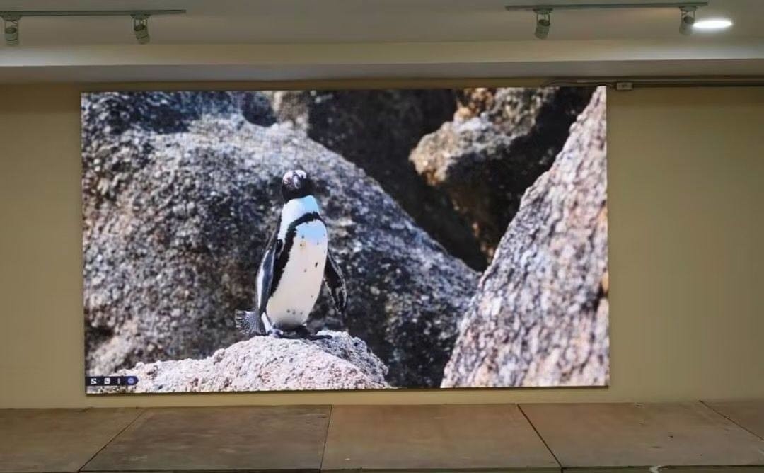 256*128 Module Resolution Fine Pitch Led Display met full color tube chip CE/ROHS/FCC gecertificeerd