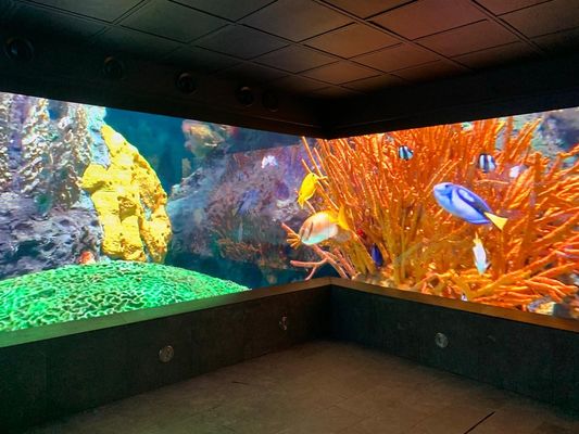 P5 Buitenadvertentie LED gebogen scherm SMD2121, Helderheid 2500 Nits