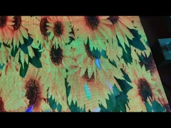 De LEIDENE van de dansvloer schermen